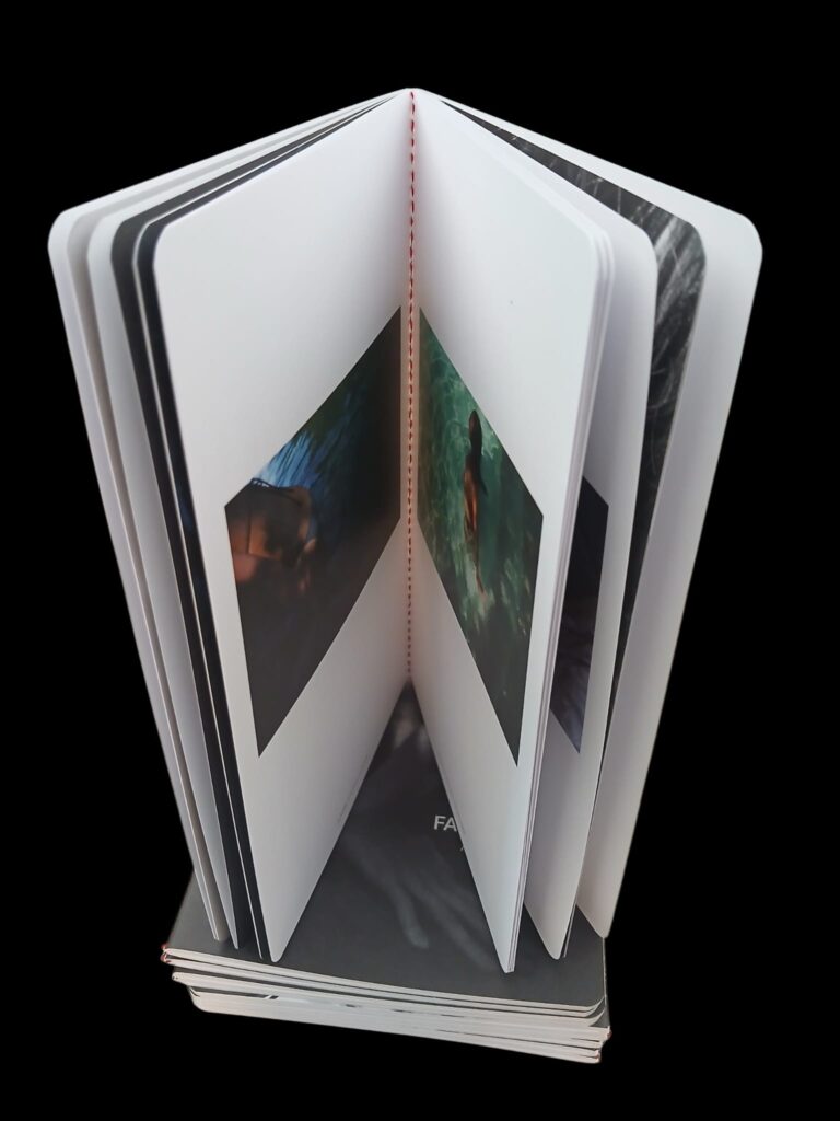 livre art photos singer couture